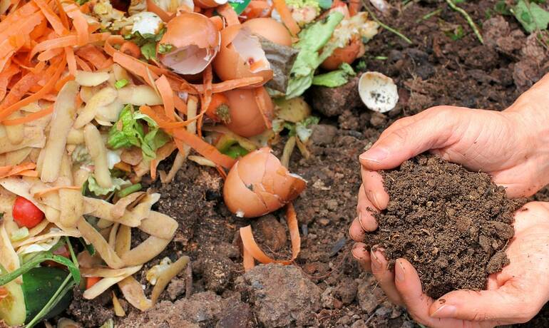 COMPOST_2023.jpg