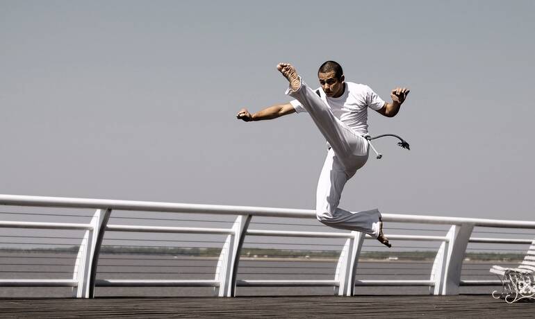 CAPOEIRA_VADIACAO.jpg