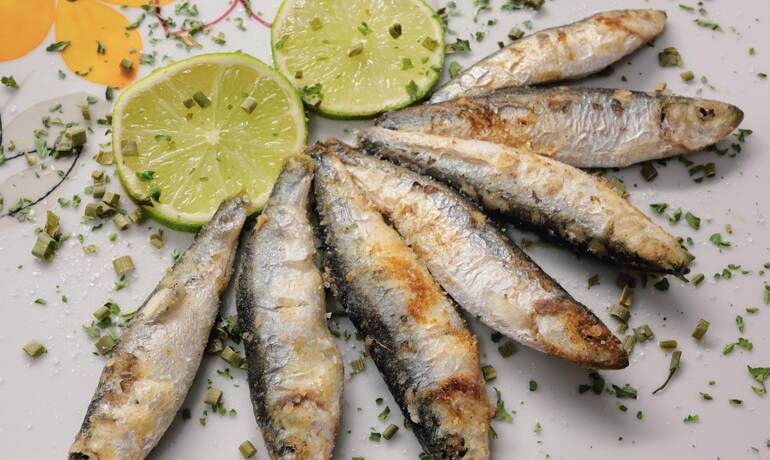 fish-6940144_1920.jpg